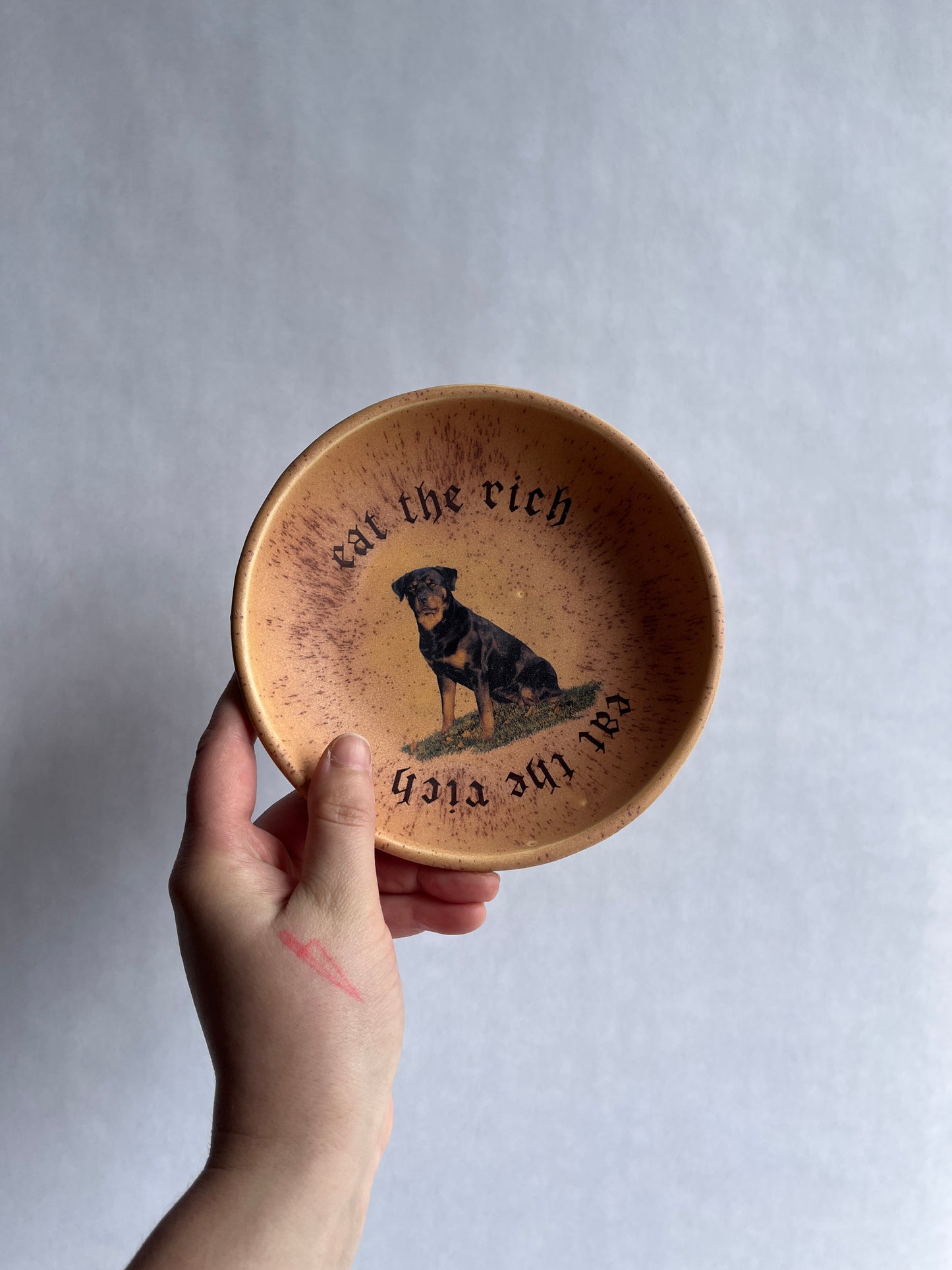 Eat the Rich Boxer Dish