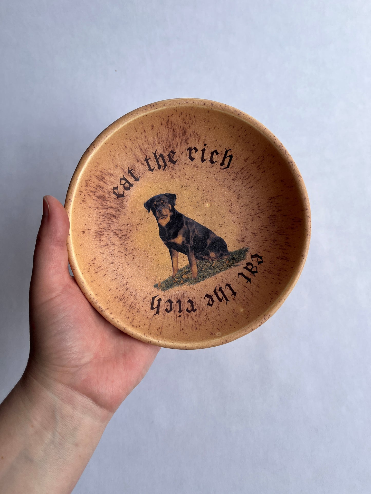 Eat the Rich Boxer Dish