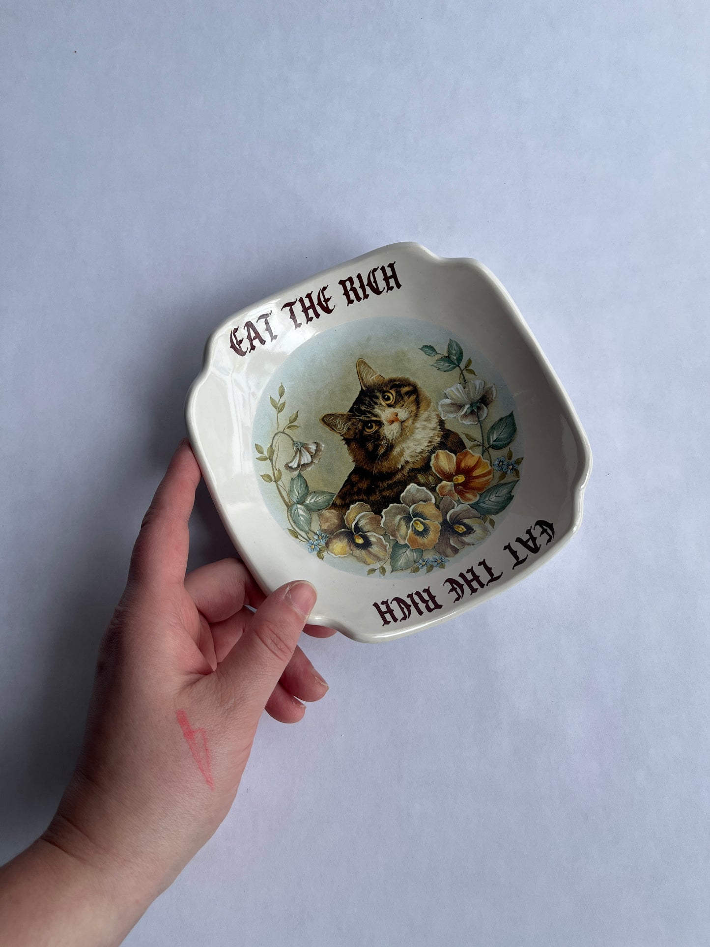 Eat The Rich Cat Dish