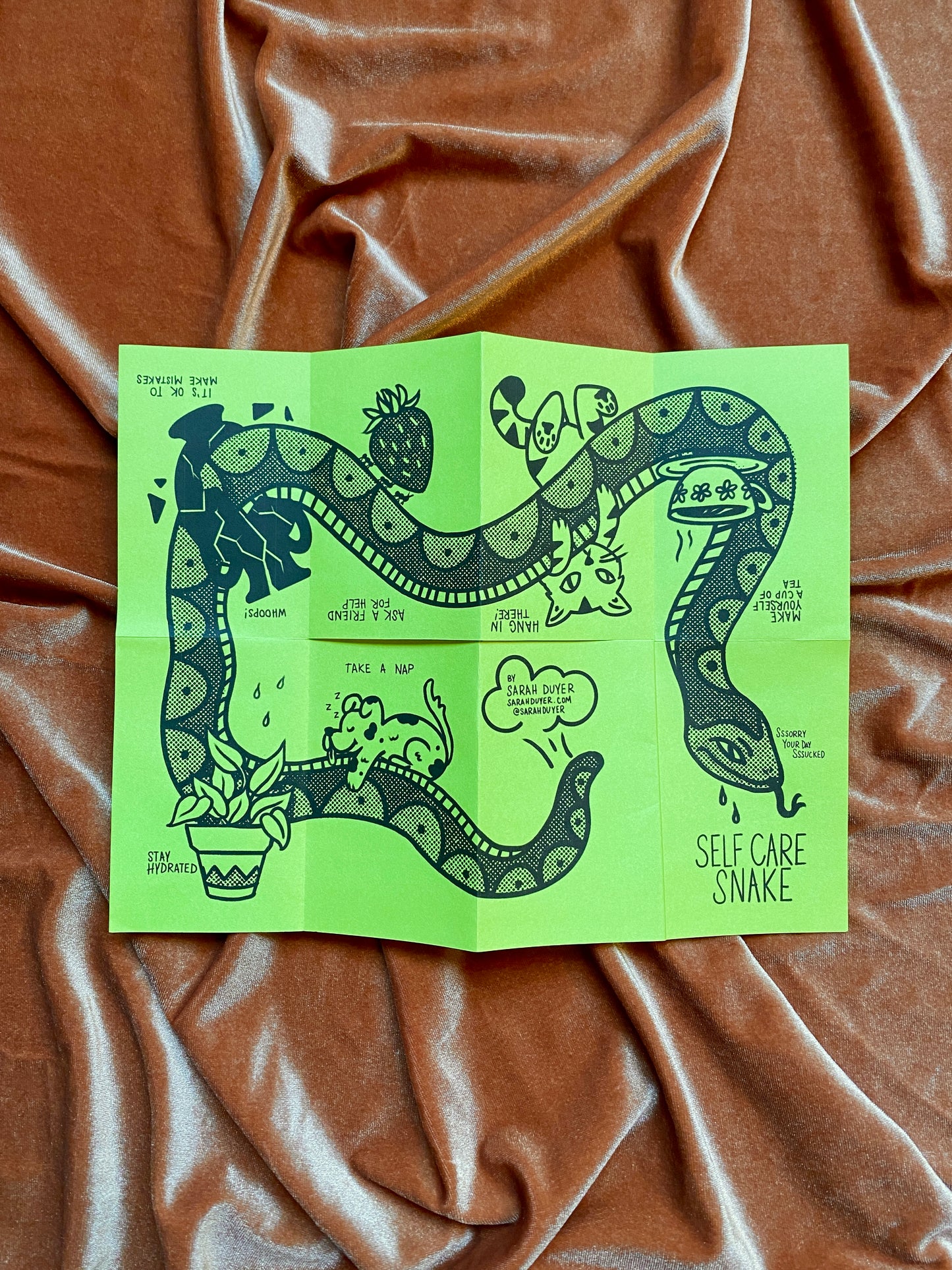 Self Care Snake Zine