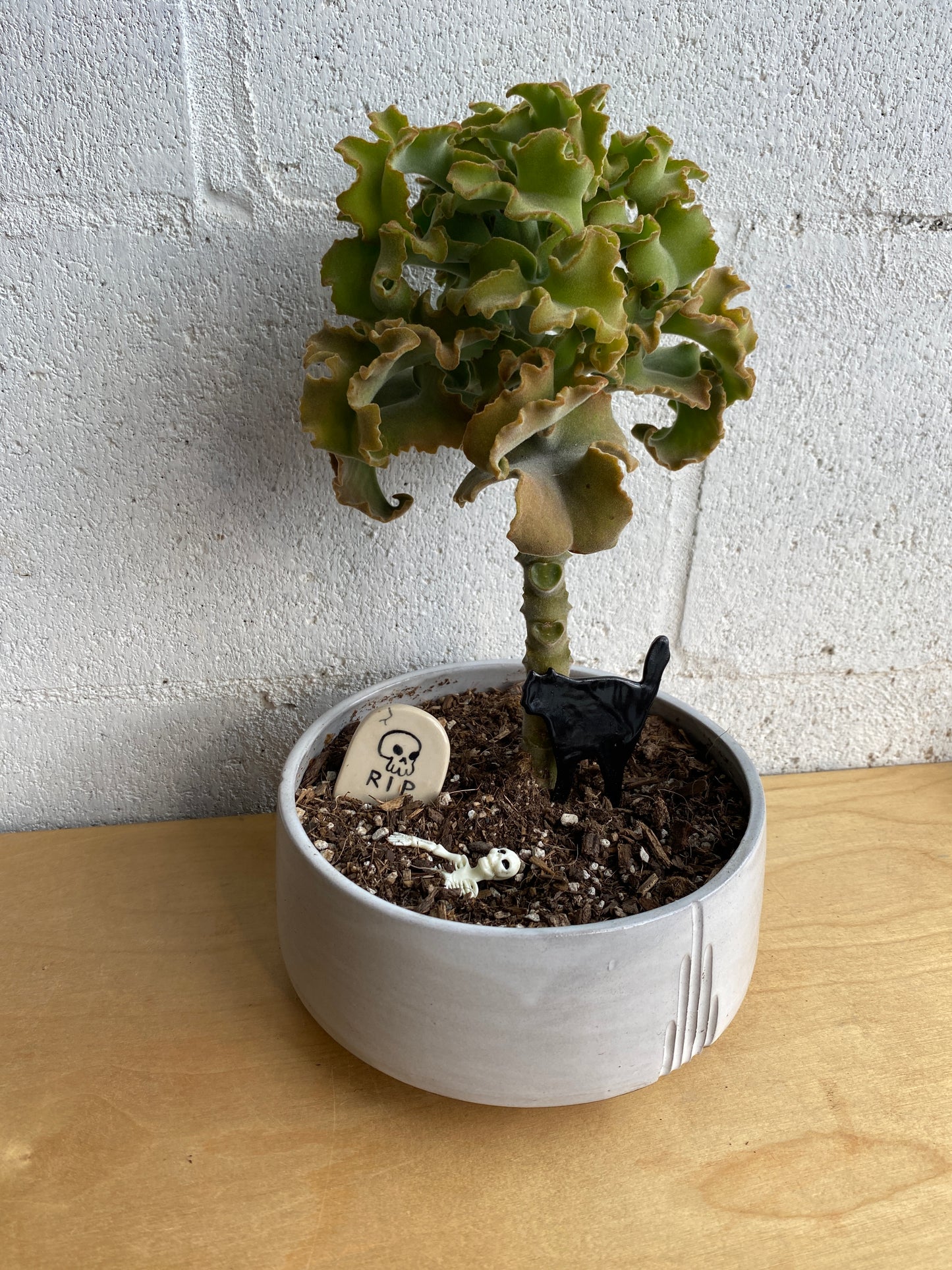 Halloween Planter Decorations