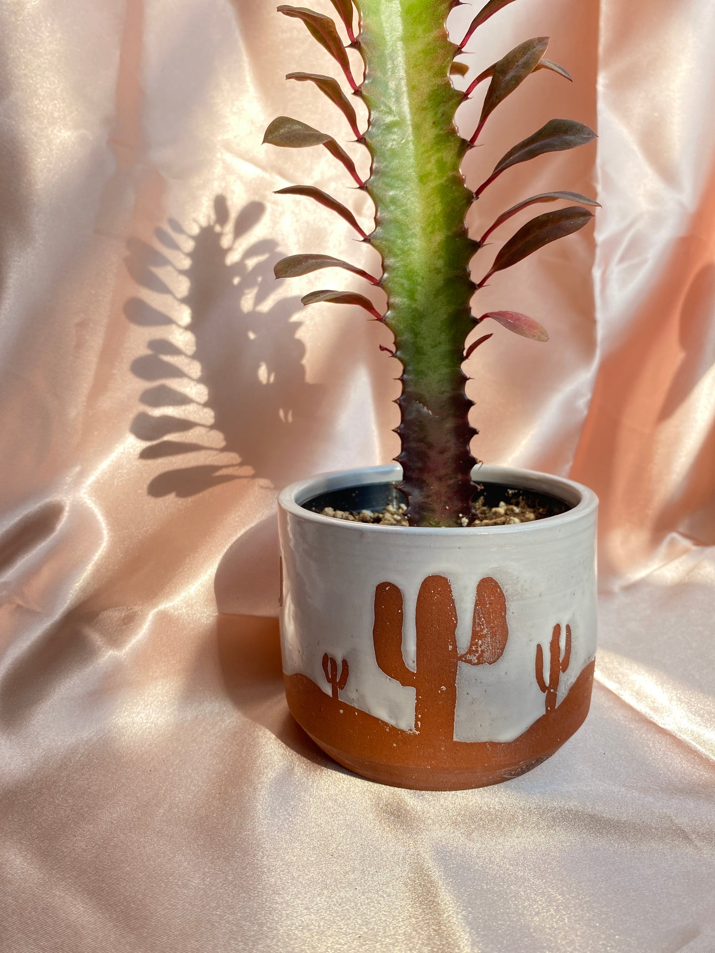 Desert Landscape Planter