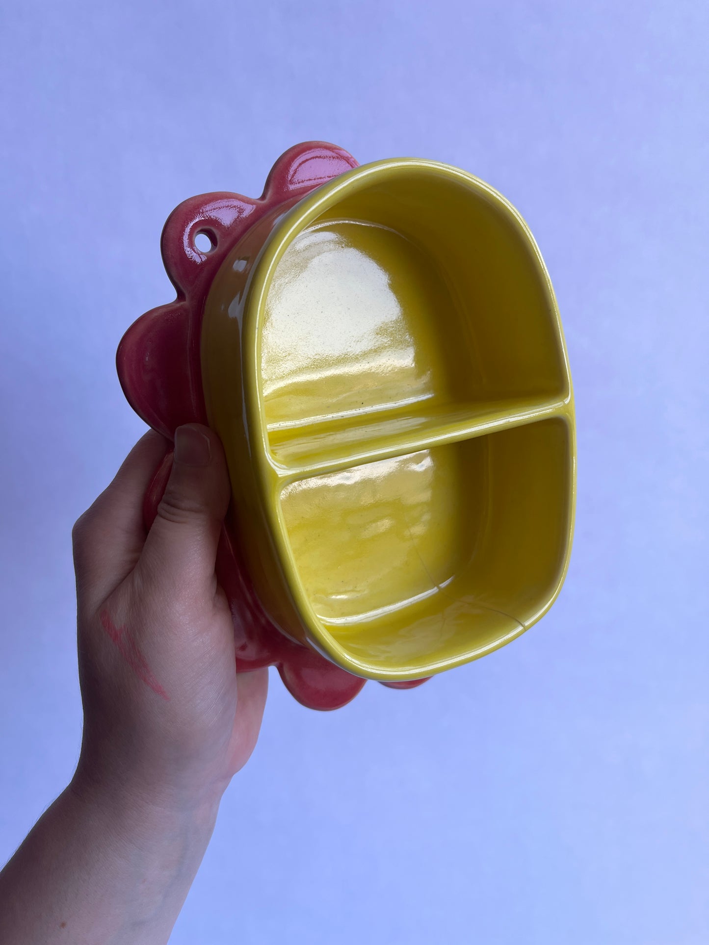 SECONDS SALE: Flower Wall Shelf