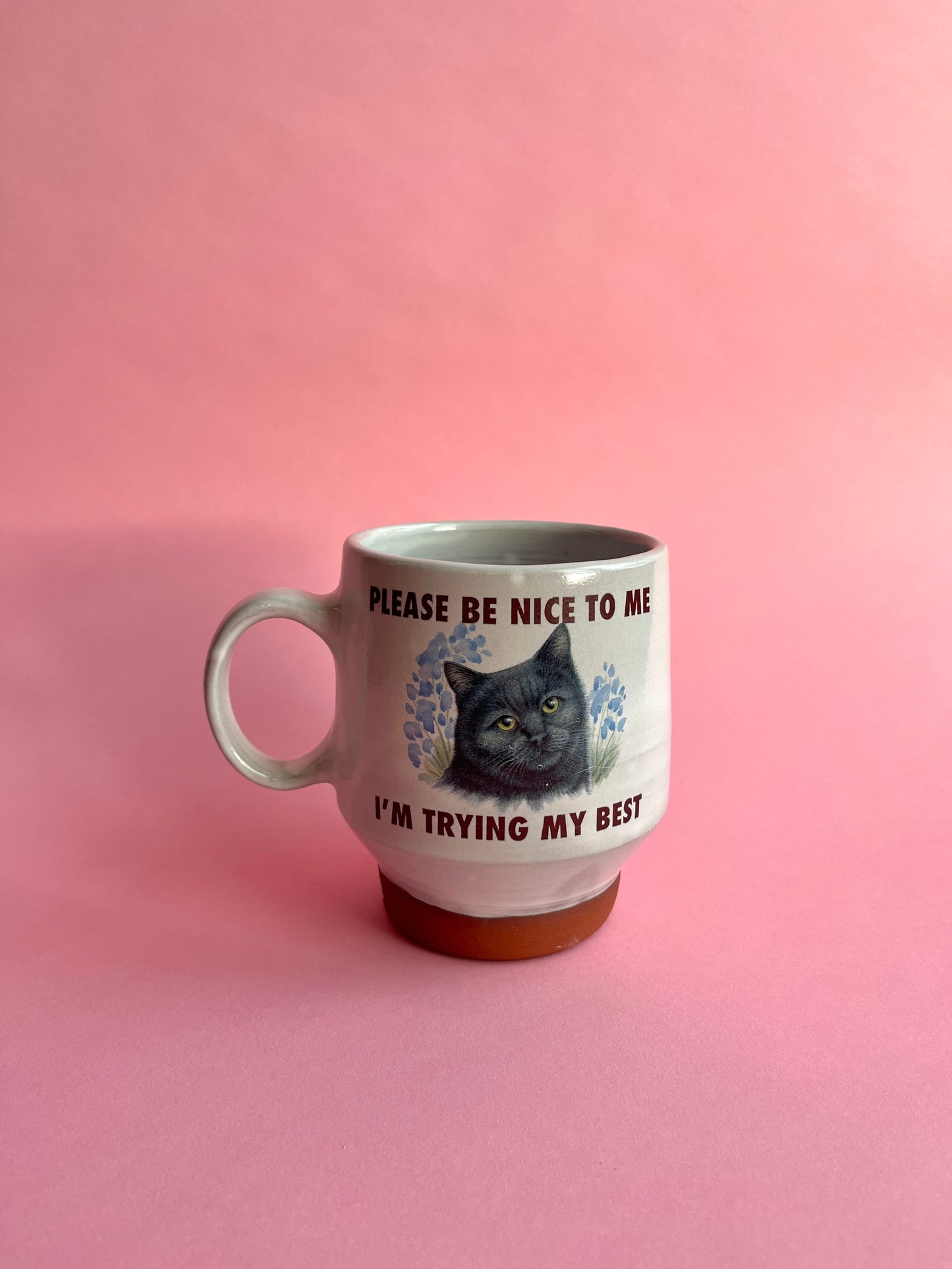 Crisis Cups: Please Be Nice to Me Cat