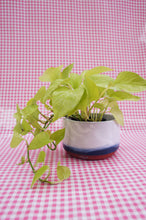 Load image into Gallery viewer, Fog City Planter
