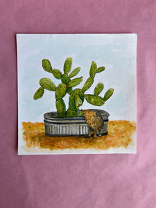 ONE-OFF SALE: Desert watercolor paintings